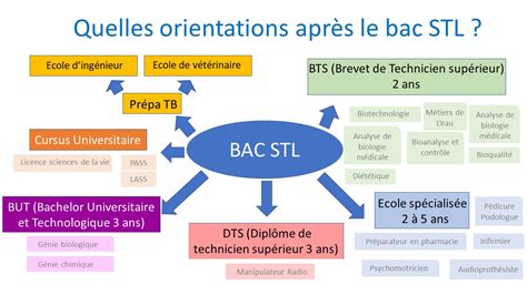 Bac STL : matières, difficulté et débouchés .